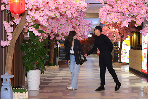 The Spring with “Cherry blossom path” at Gigamall Shopping Center